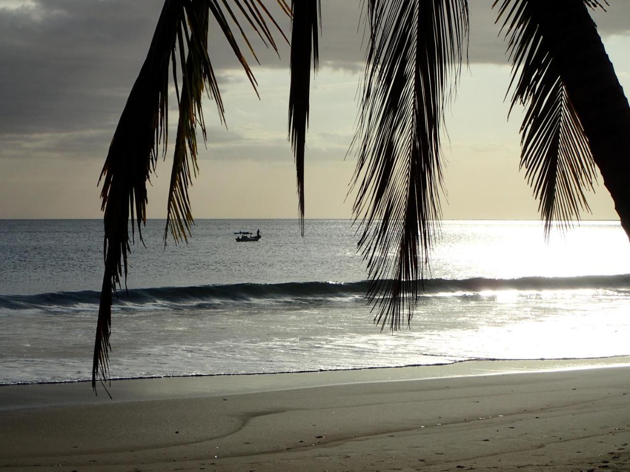 Morrillo Beach Eco Resort Екстер'єр фото