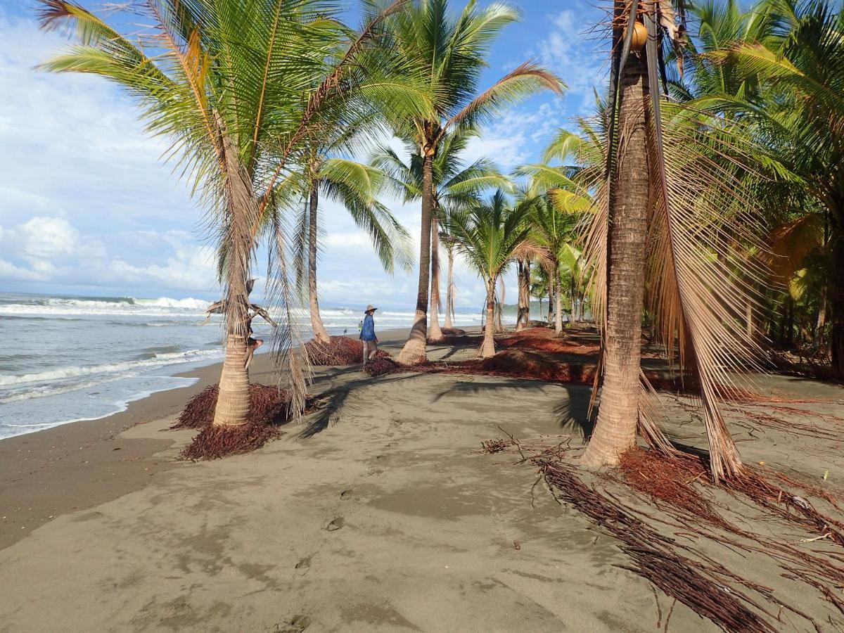 Morrillo Beach Eco Resort Екстер'єр фото